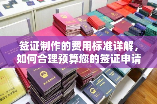 宁陕签证制作的费用标准详解，如何合理预算您的签证申请成本